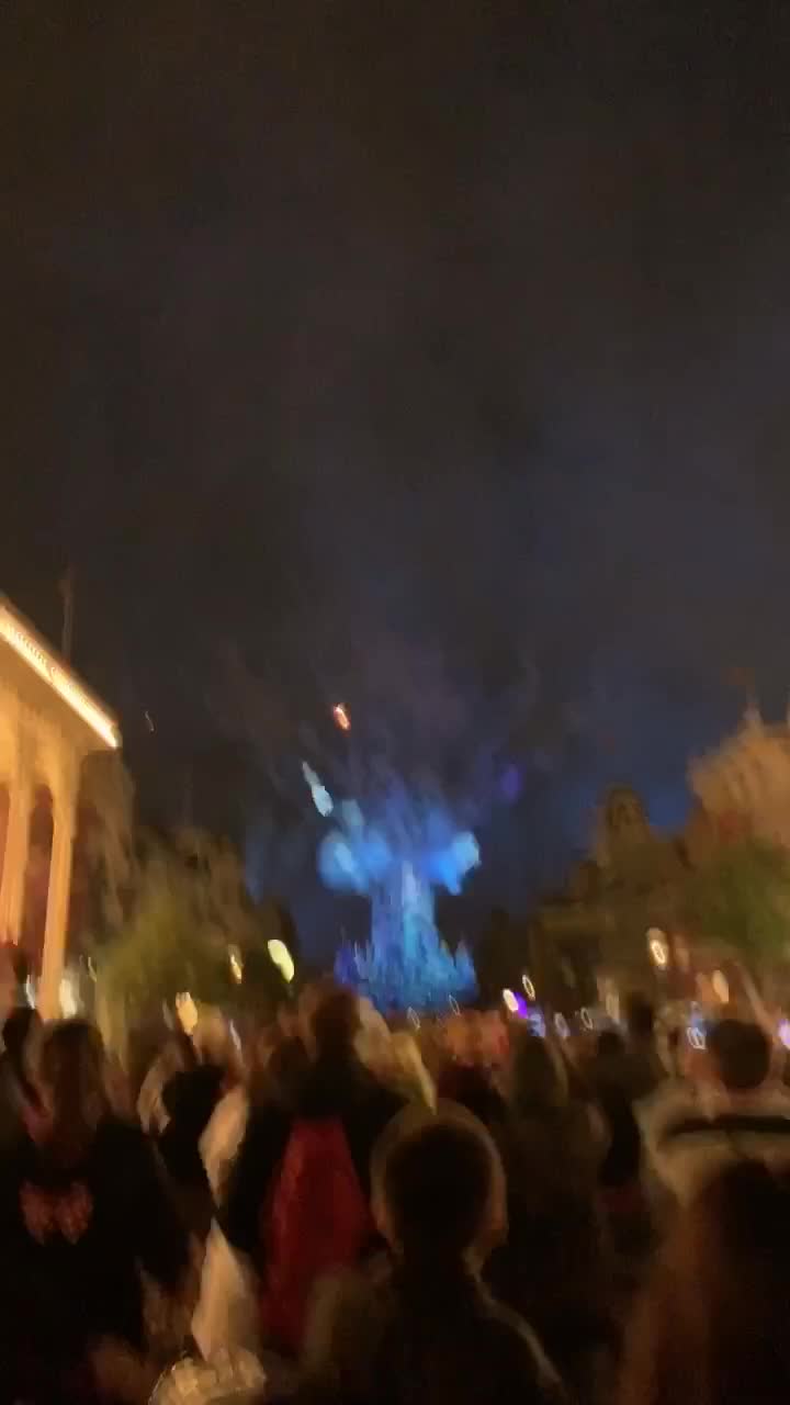 Magic Kingdom Park