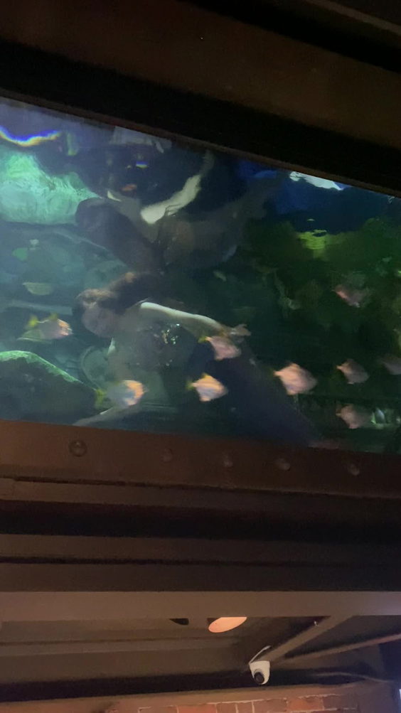 Dive Bar