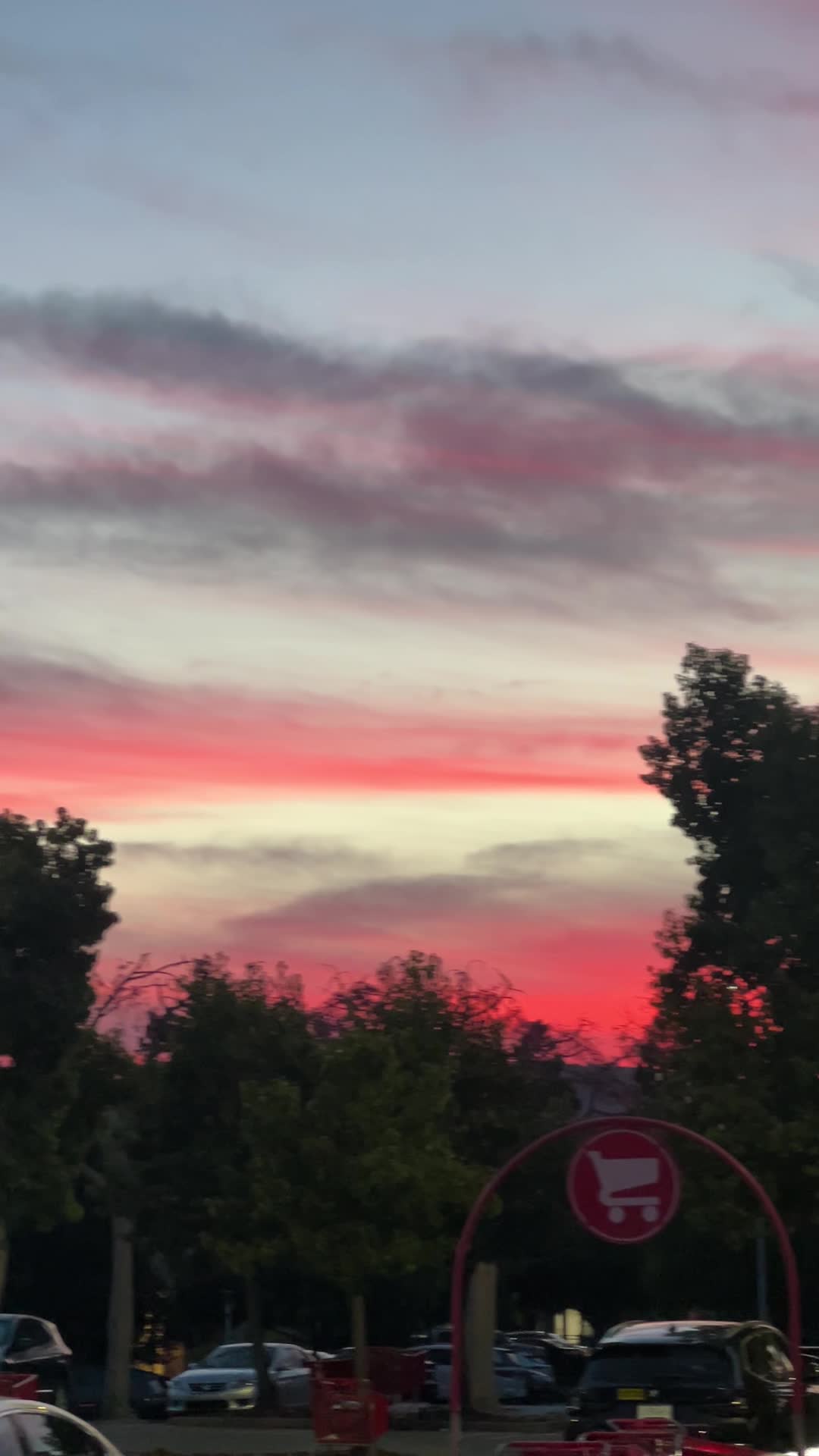 Video review of Target