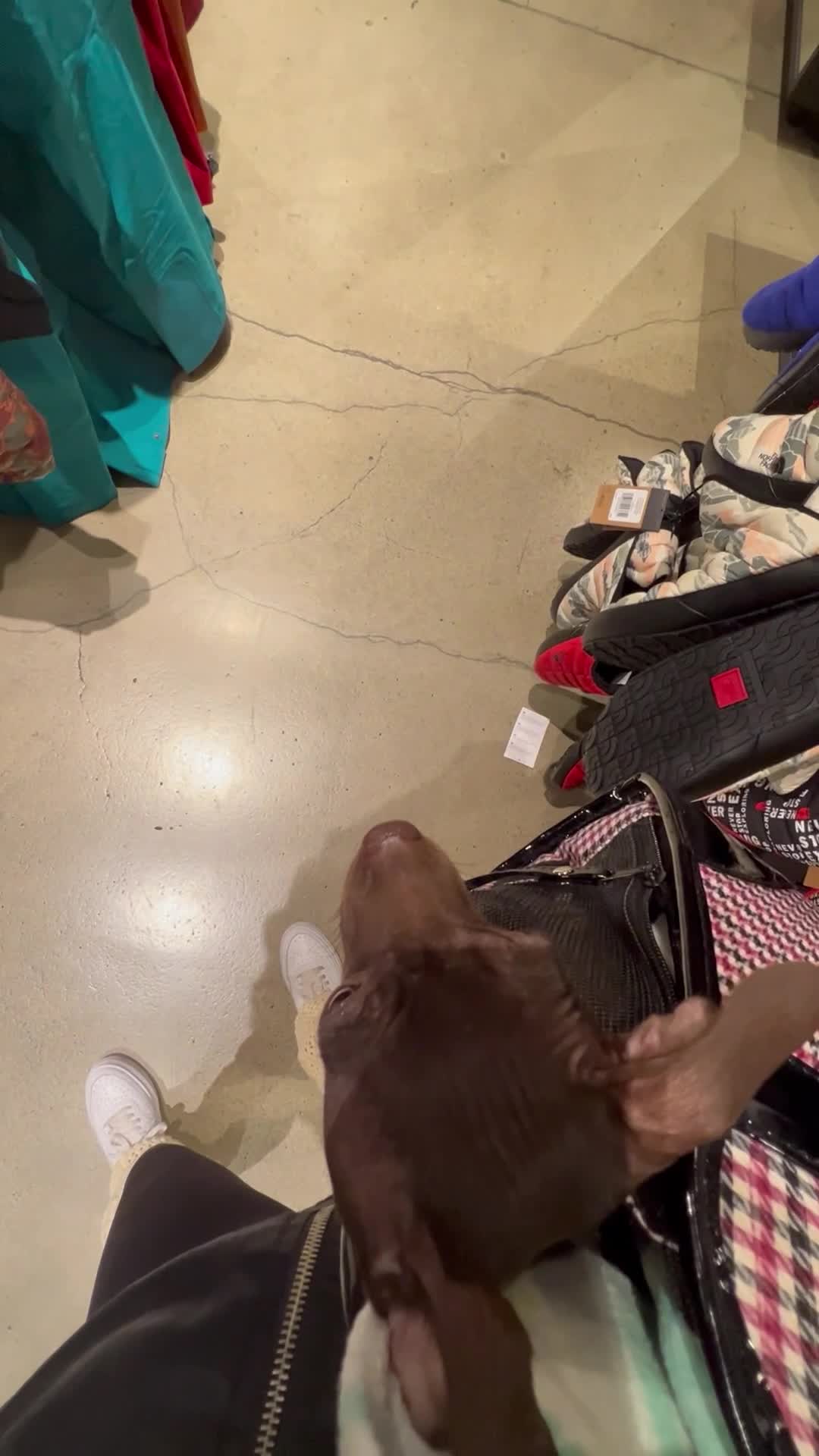 Video review of Camarillo Premium Outlets