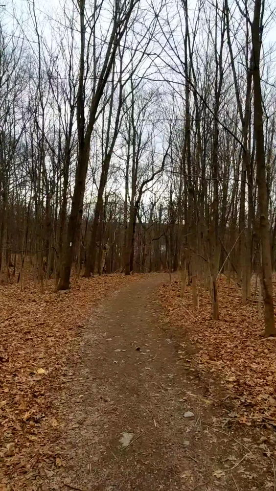 Sims-Jennings Preserve at Cayuga Cliffs