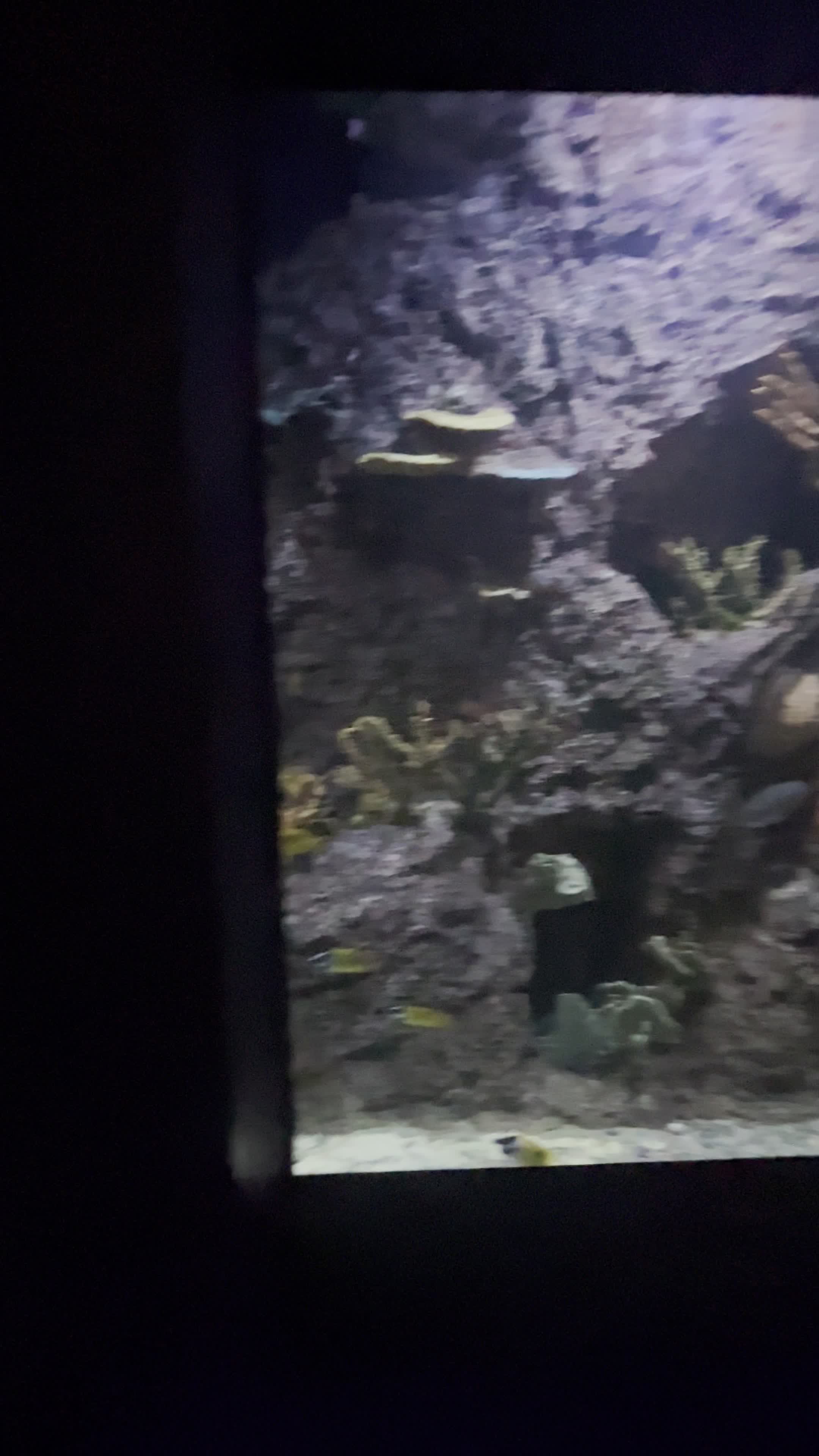 Starbucks Parque Tepeyac