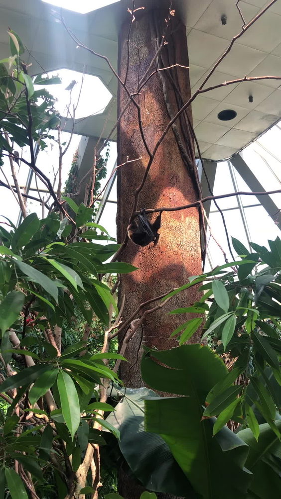 Central Park Zoo
