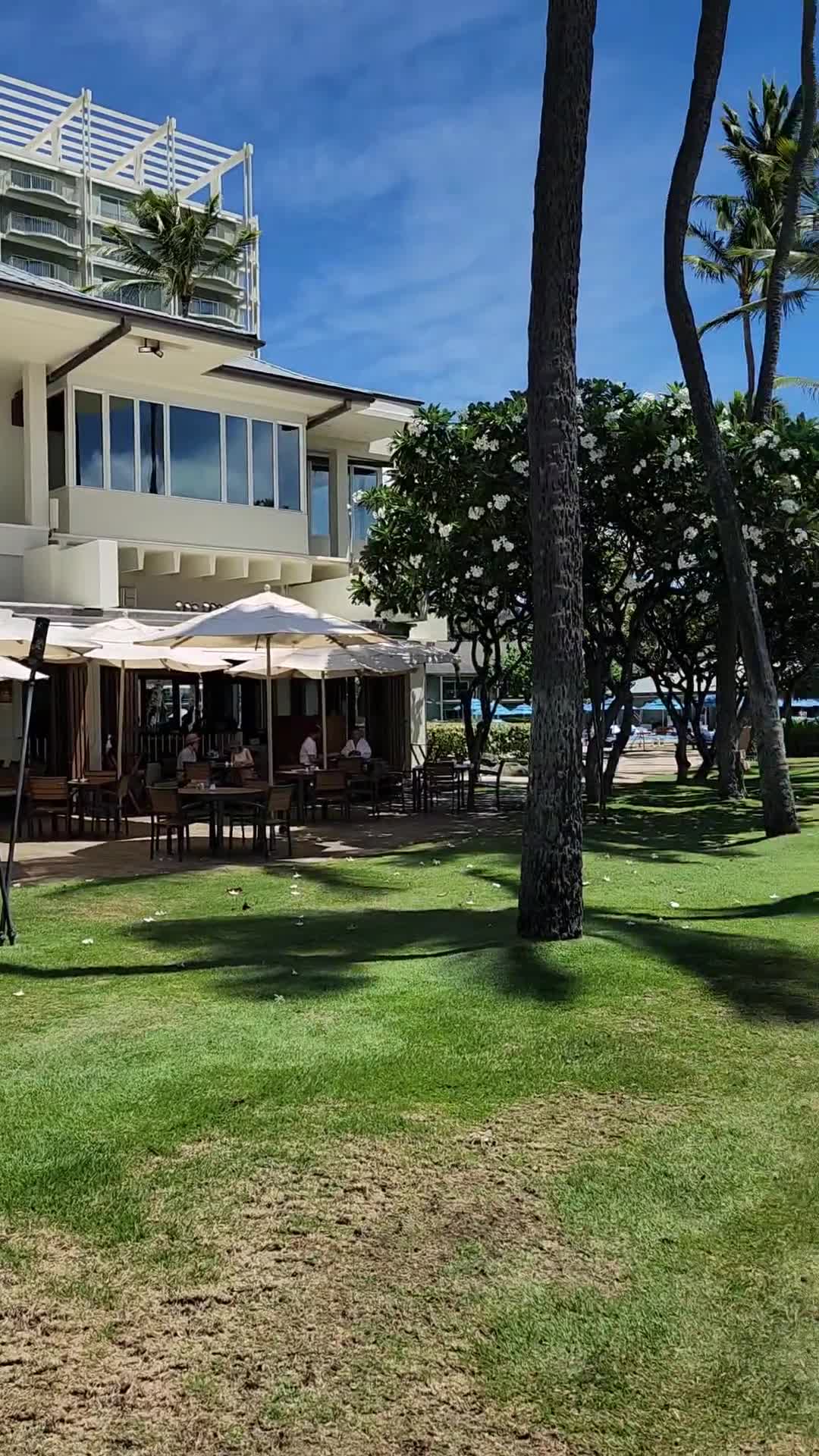 Waiale'e beach park
