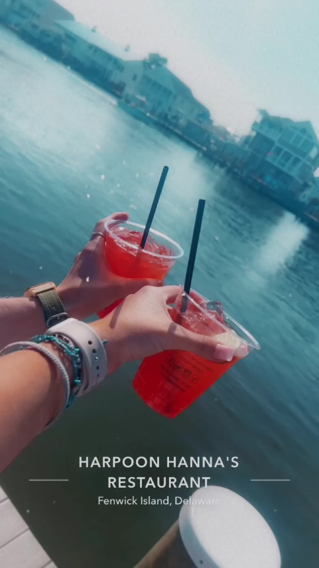 paradise bar