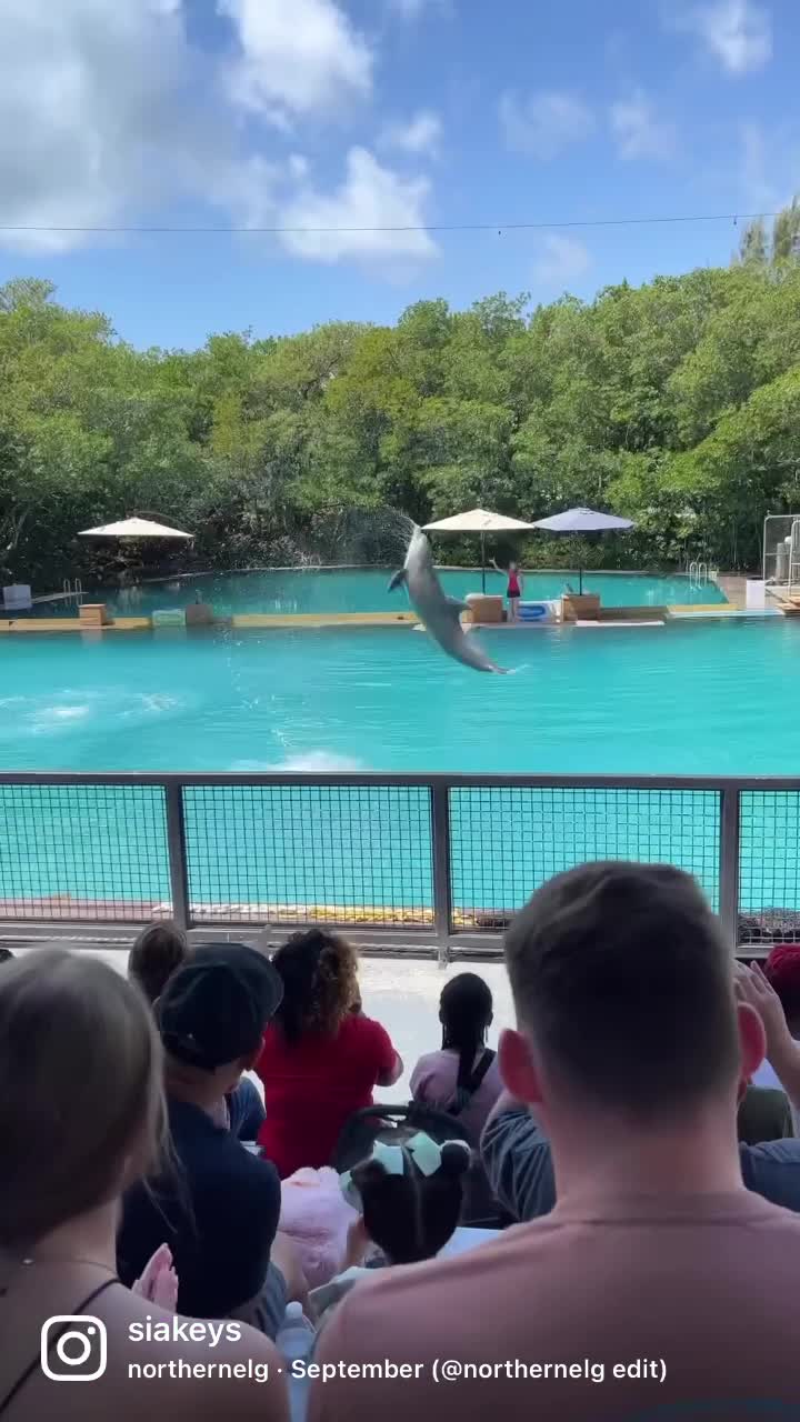 Miami Seaquarium