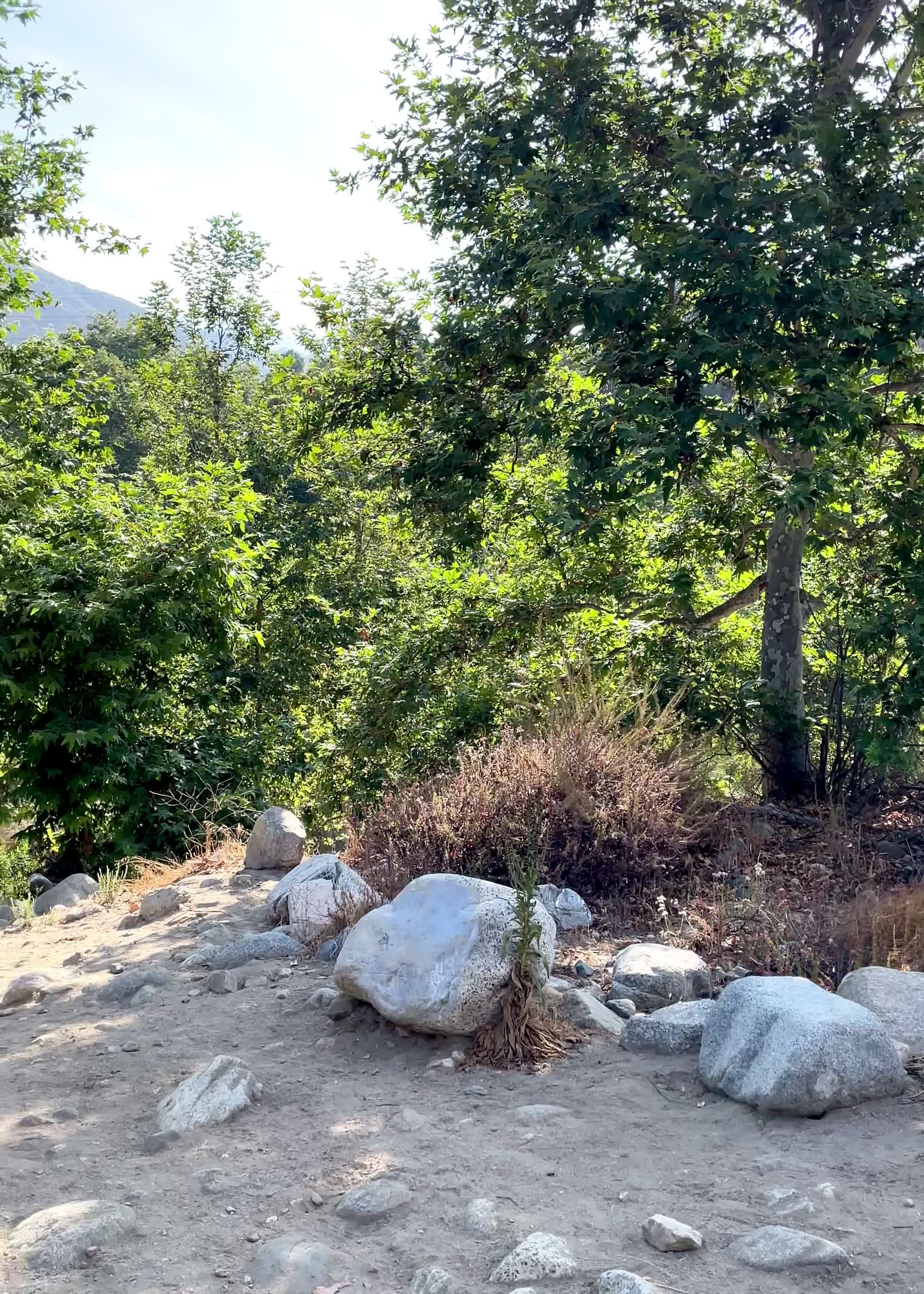 Video review of Eaton Canyon Hiking Trail