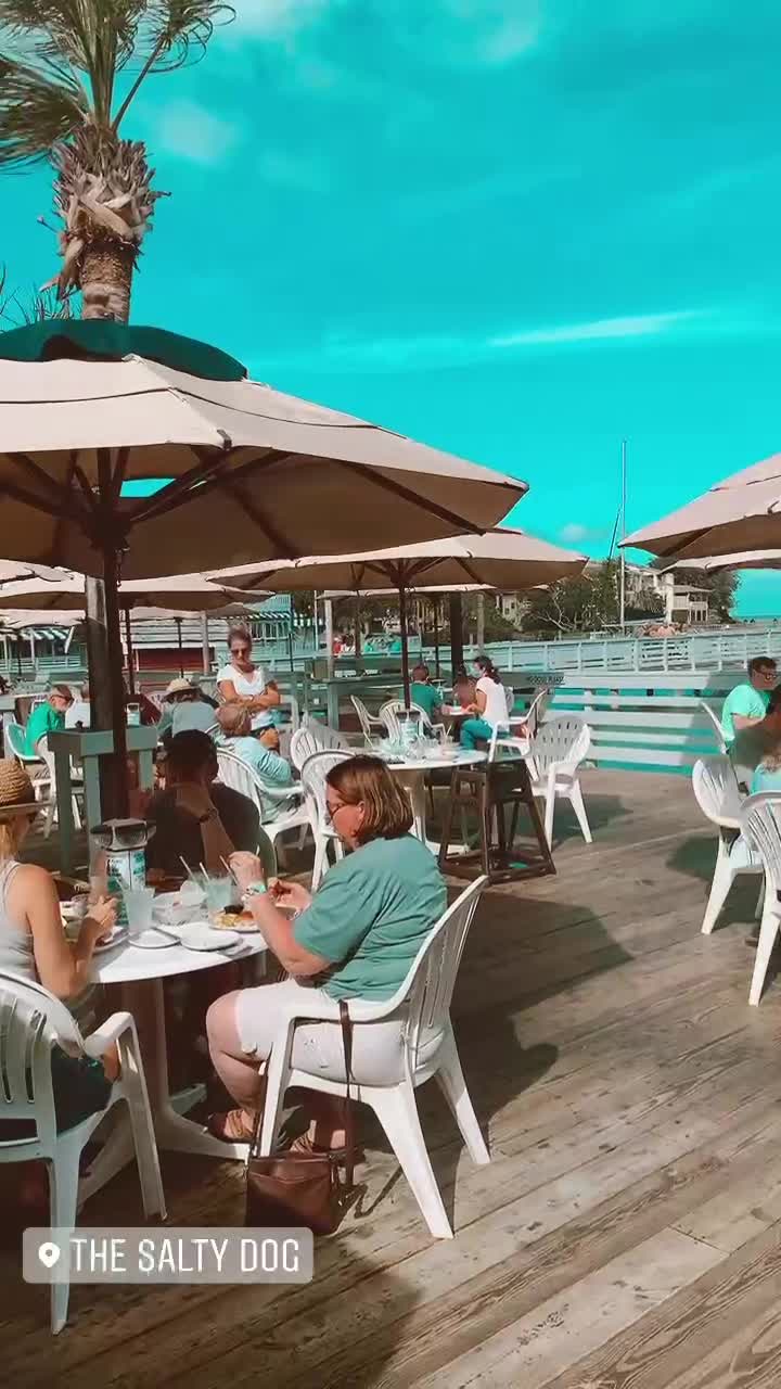 Video review of The Salty Dog Cafe