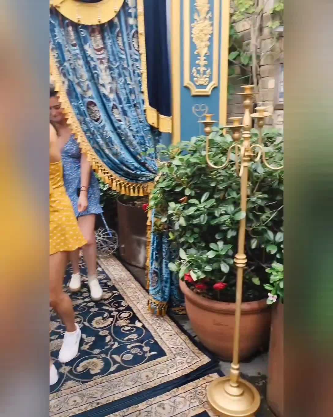 The Grounds of Alexandria