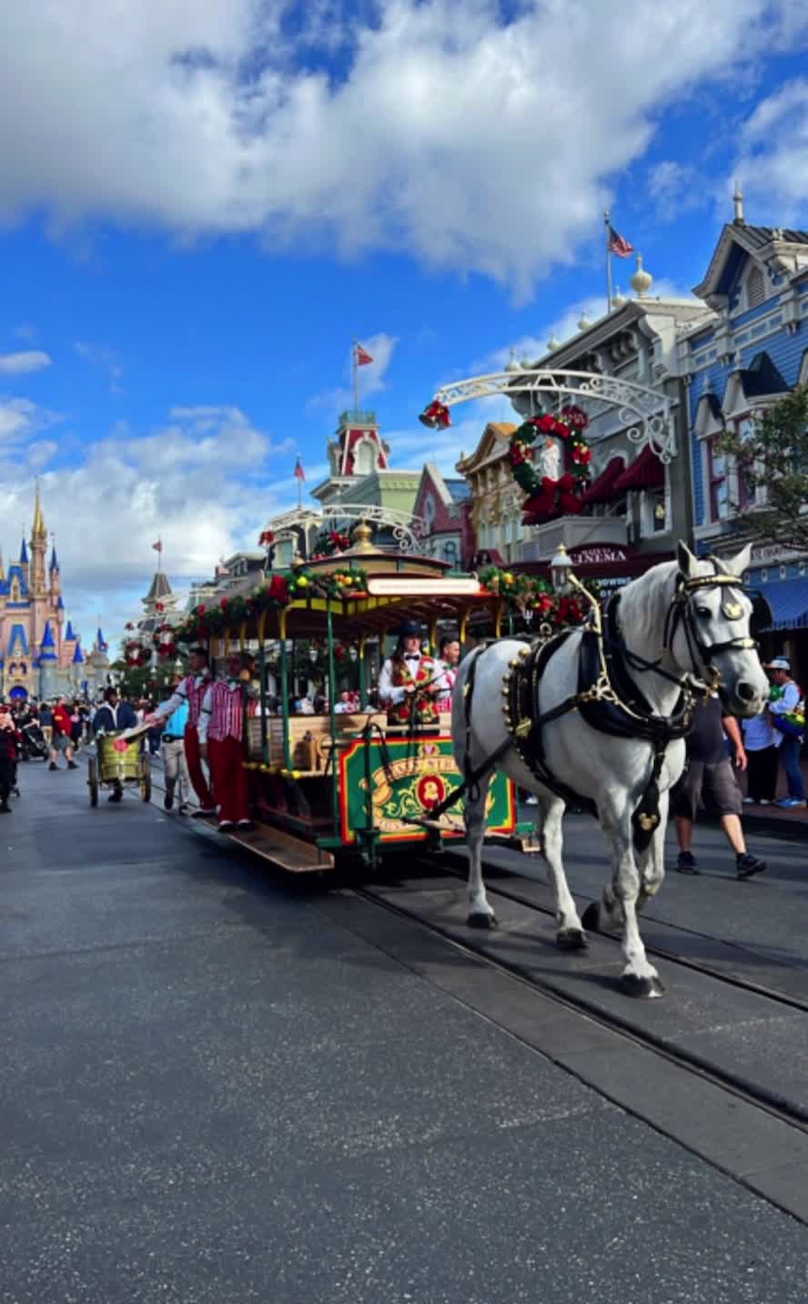 Disney World Magic Kingdoms 50th Anniversary