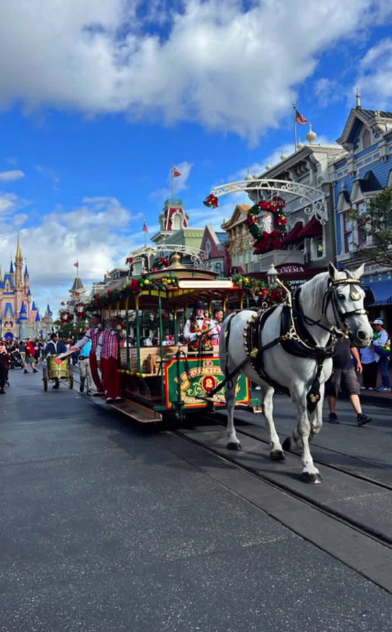 Disney World Magic Kingdoms 50th Anniversary