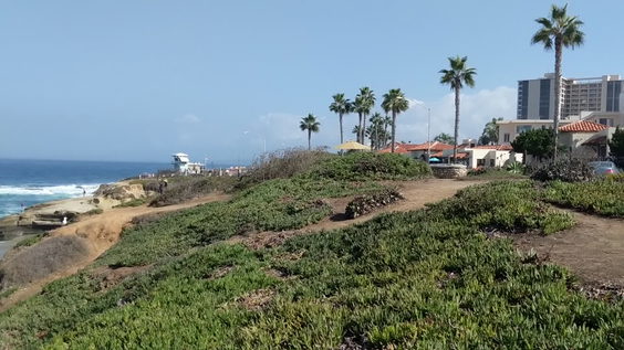 Laguna Beach OBGYN