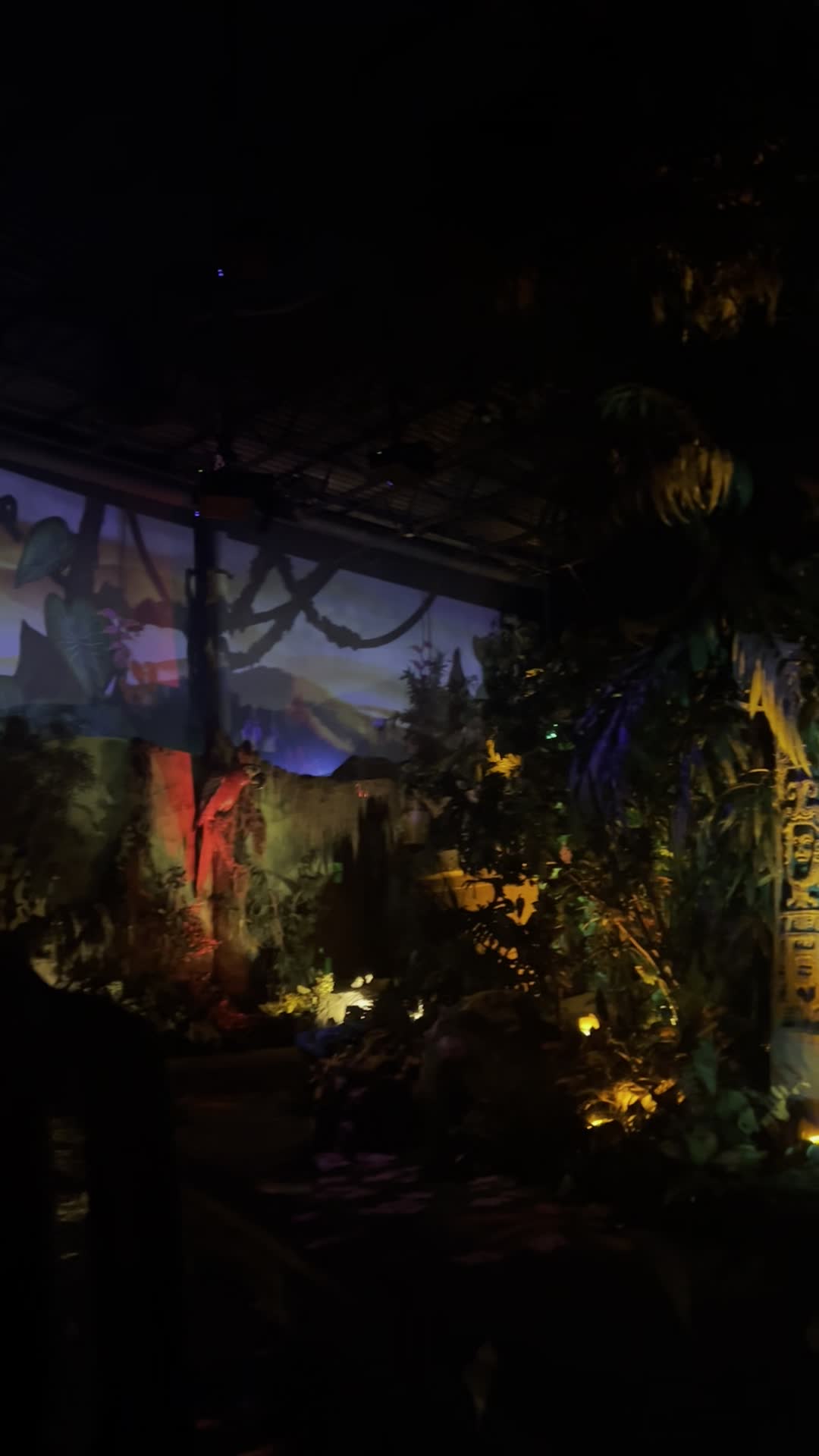 Video review of Rainforest Cafe River Adventure Ride