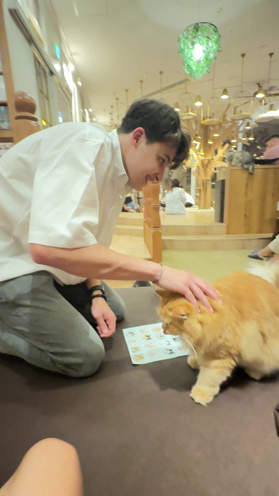 猫カフェ MOCHA