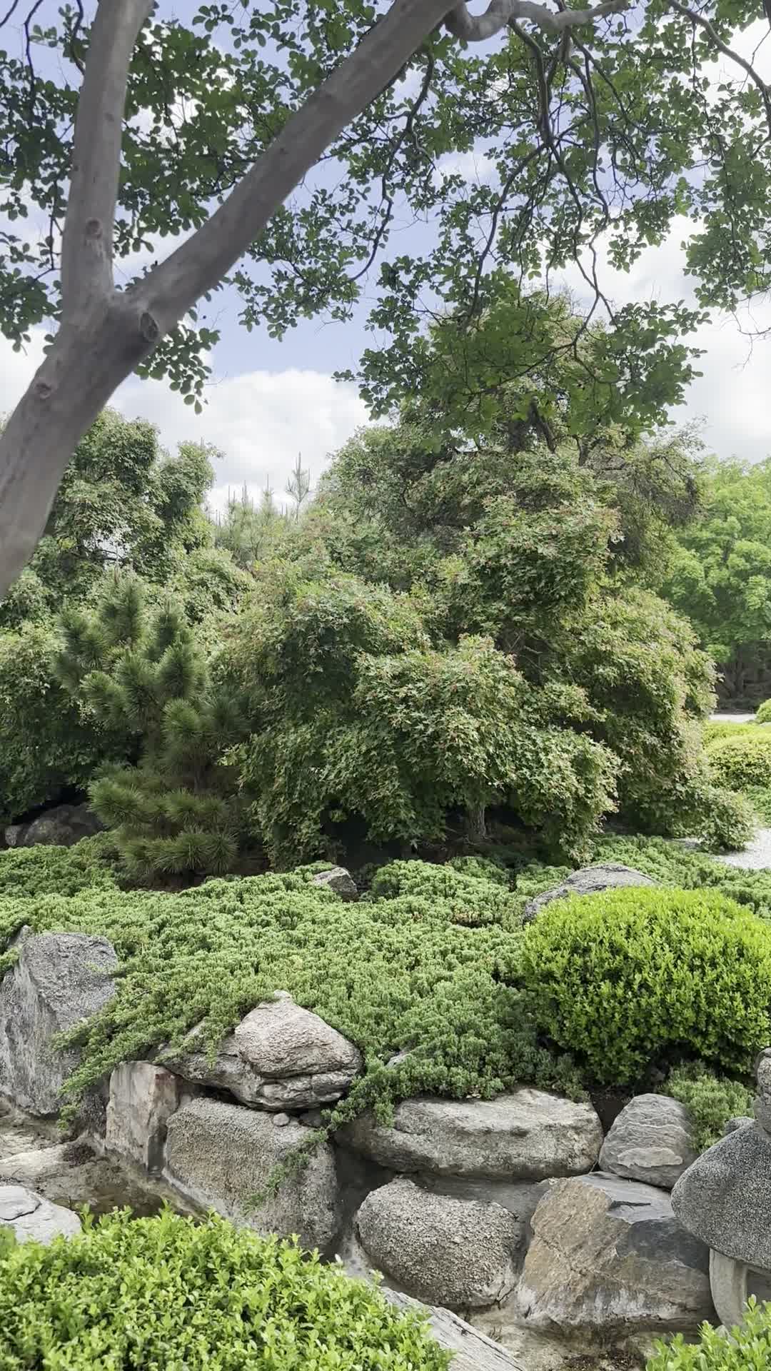 Japanese Garden of Peace