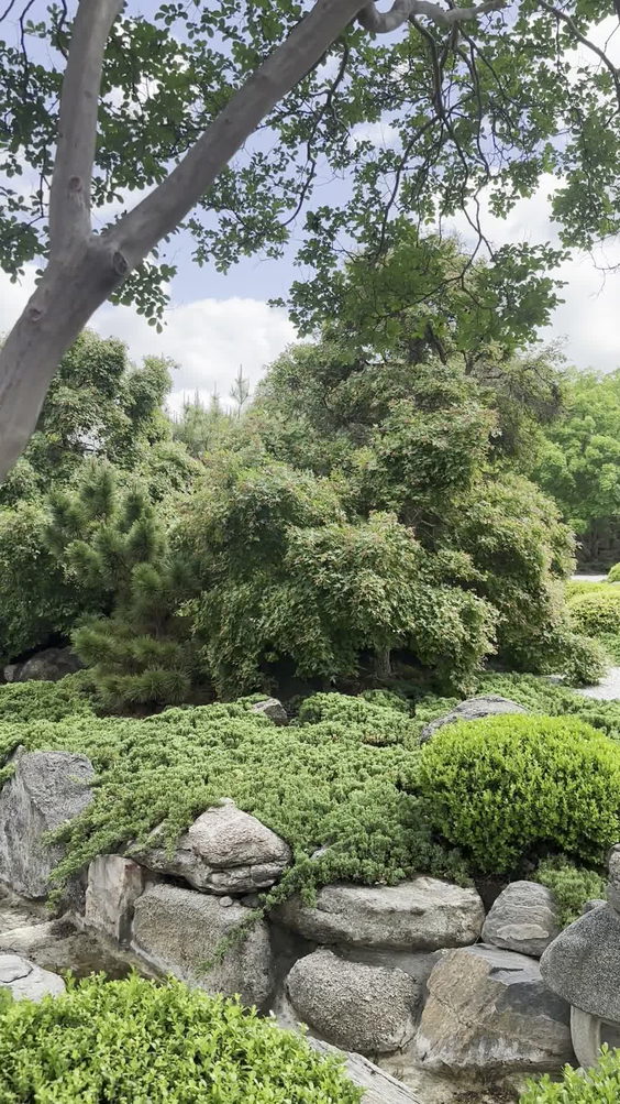 Japanese Garden of Peace
