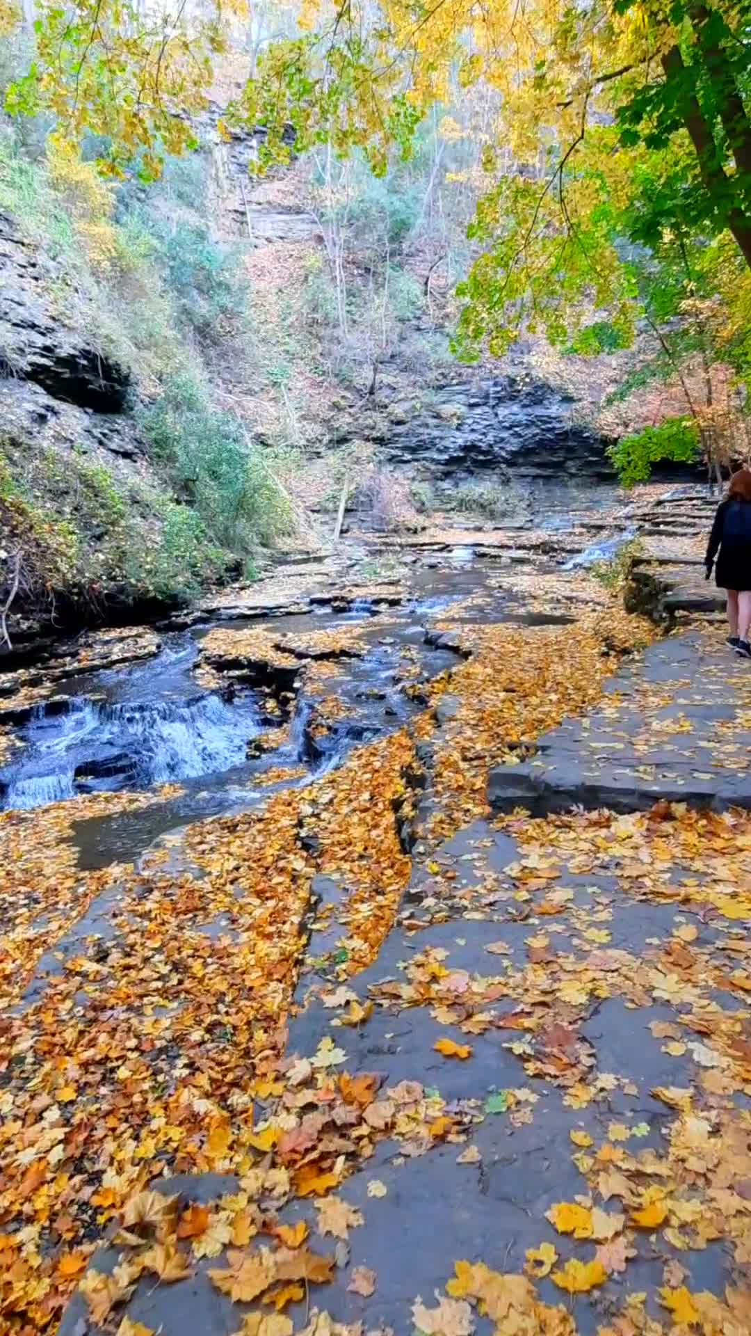 Cascadilla Gorge