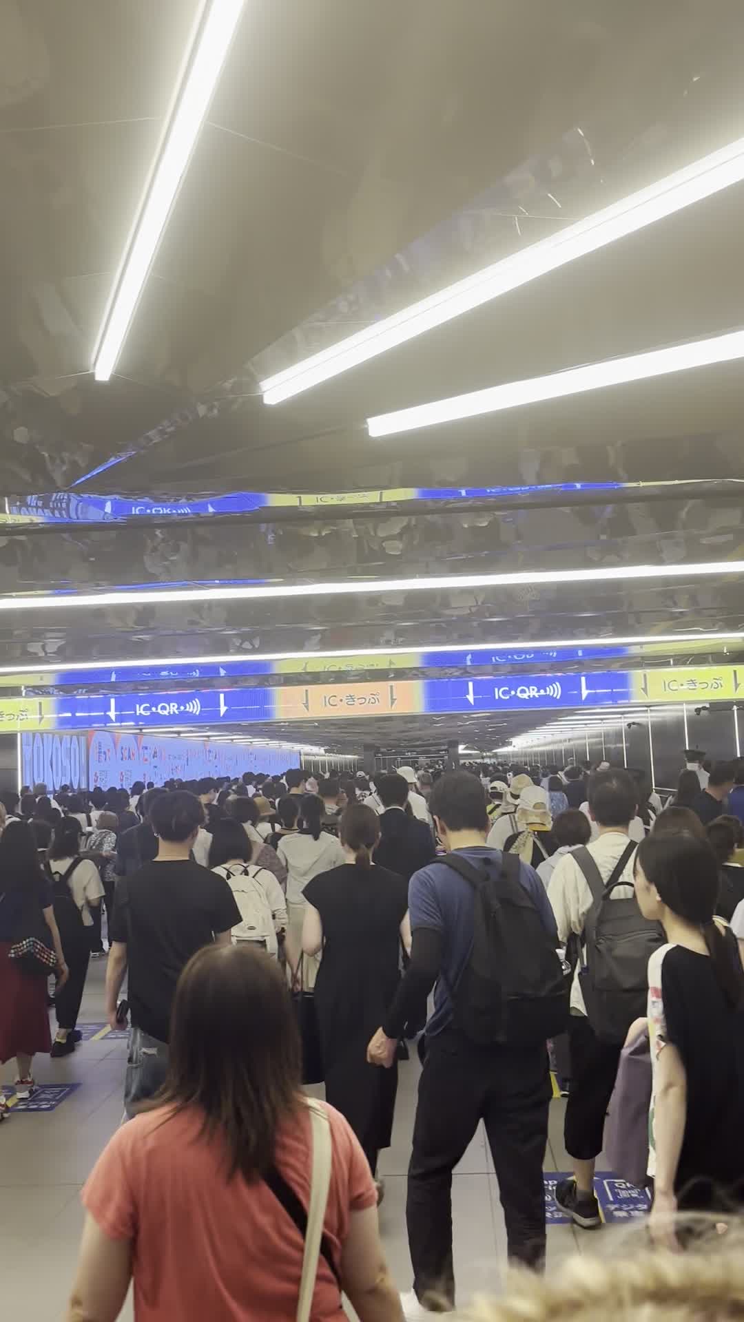 Mt. Fuji World Heritage Centre, Shizuoka (静岡県富士山世界遺産センター)