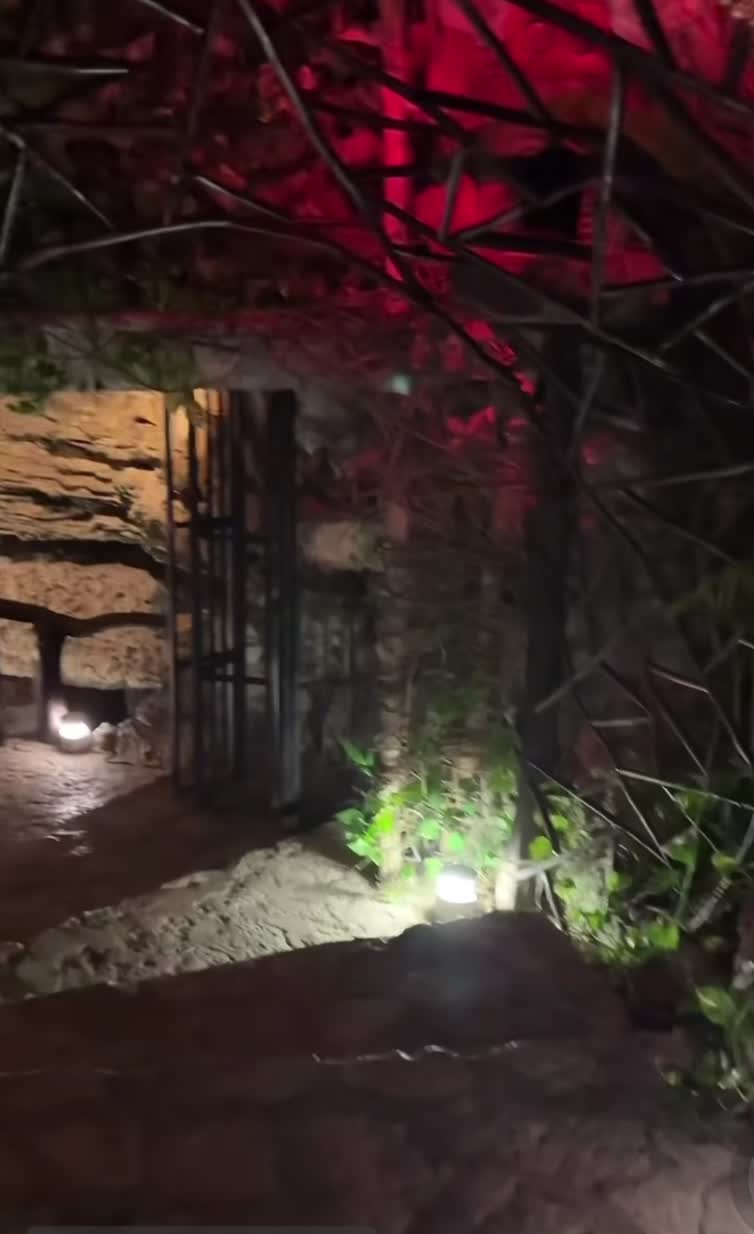 Alux Playa Del Carmen