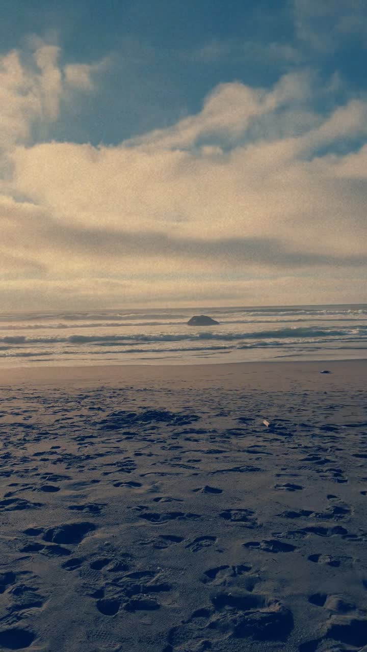 Bodega Dunes Beach