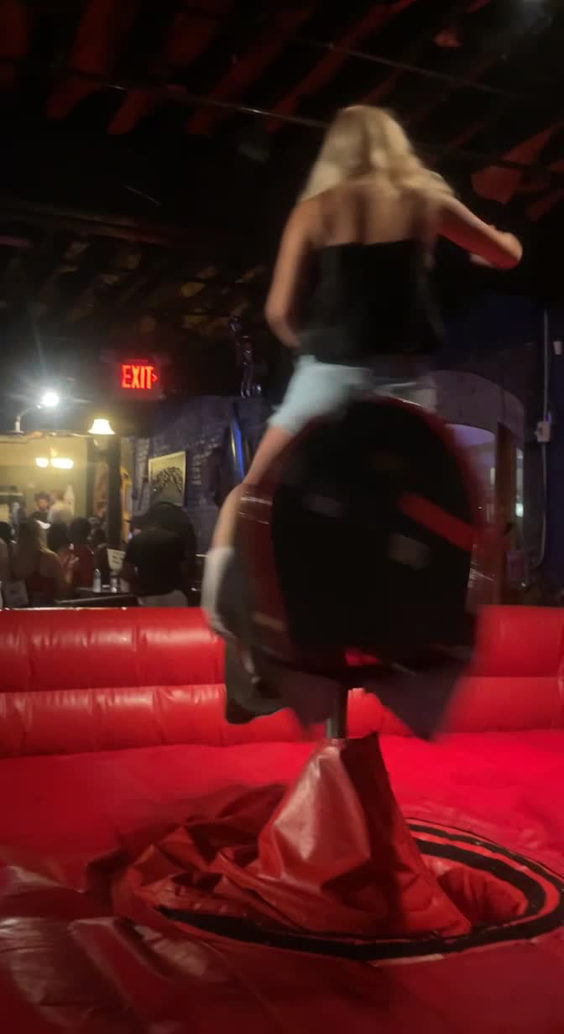 Saddle Bags