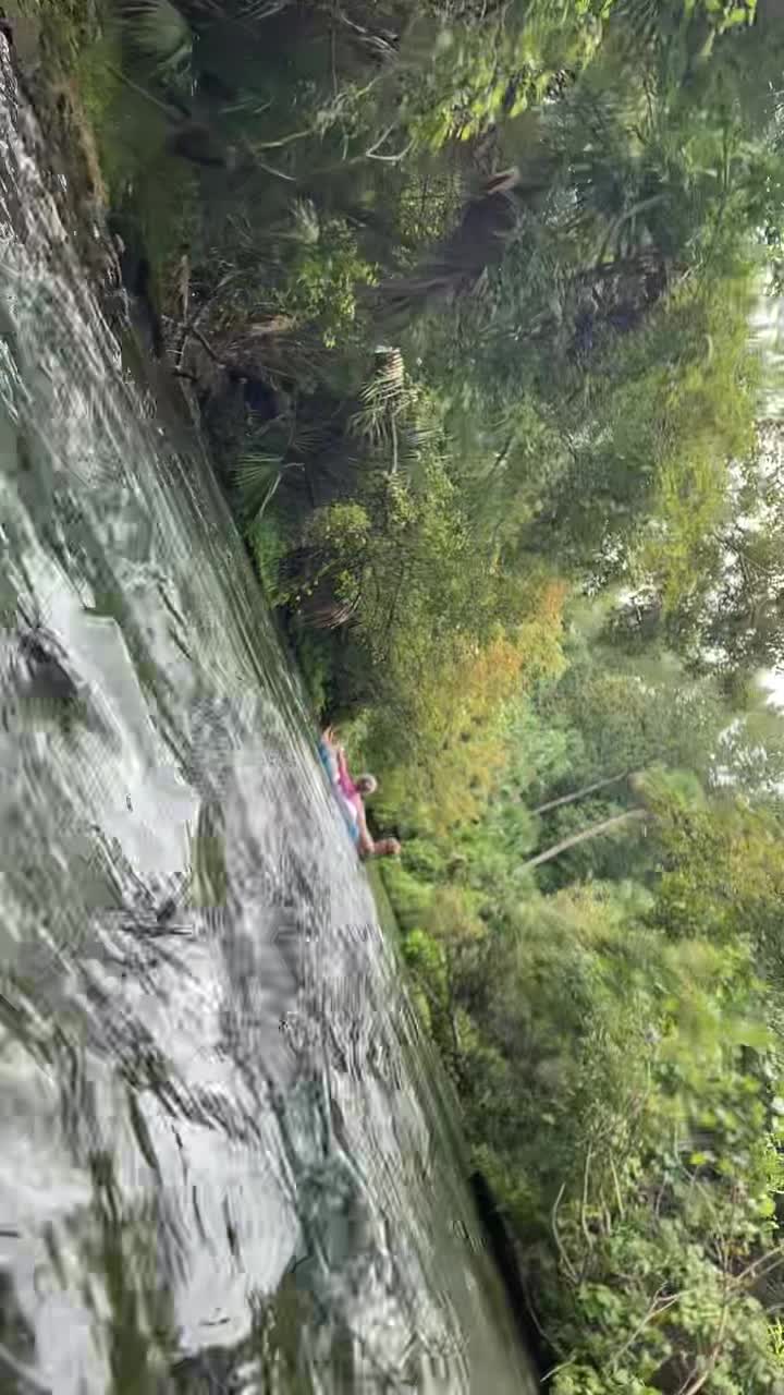 Rock Springs at Kelly Park