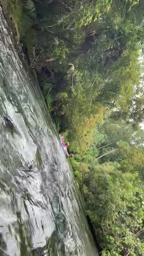 Rock Springs at Kelly Park