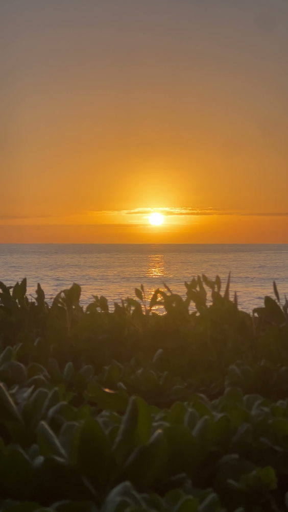 Ko Olina Beach