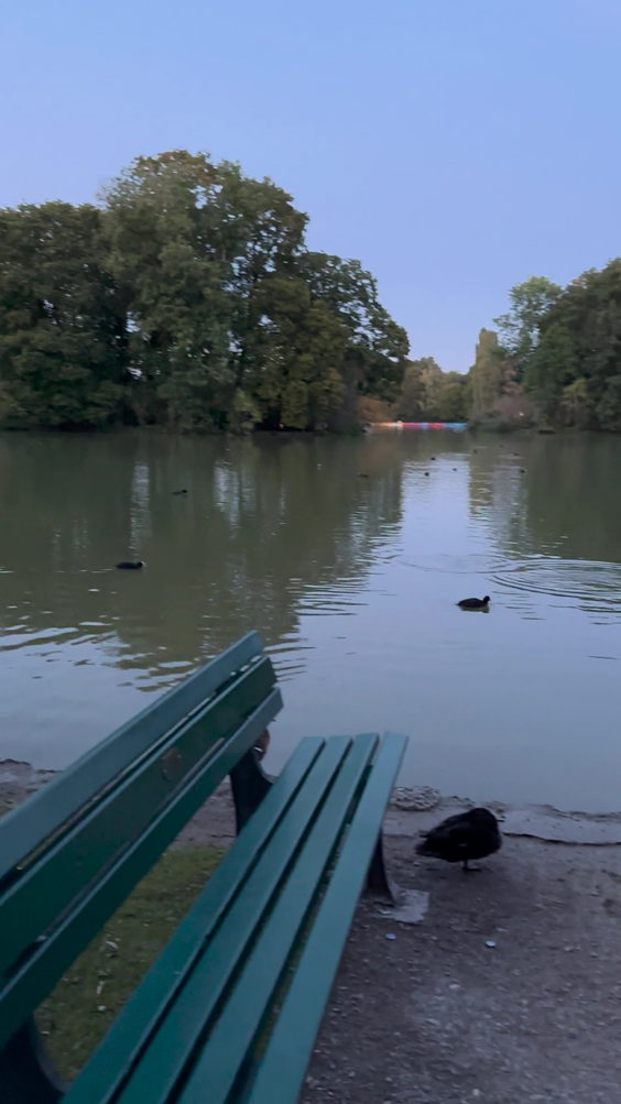 Englischer Garten