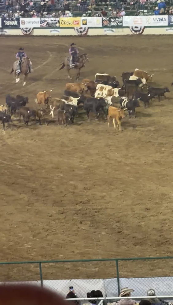 RENO RODEO