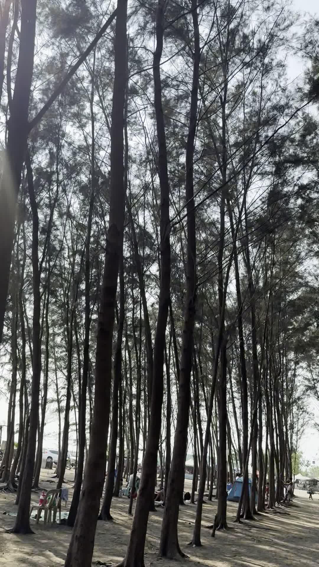 Agoo Eco Park