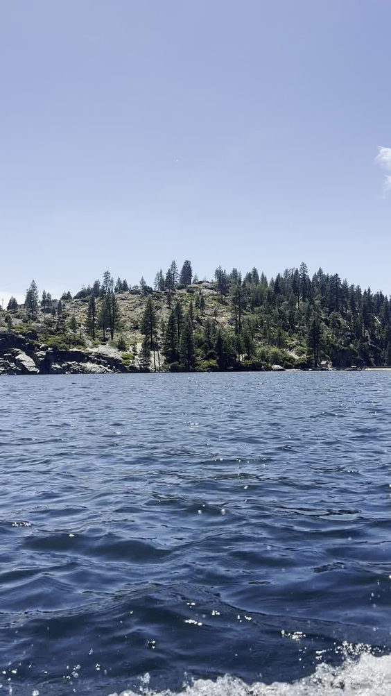 Pinecrest