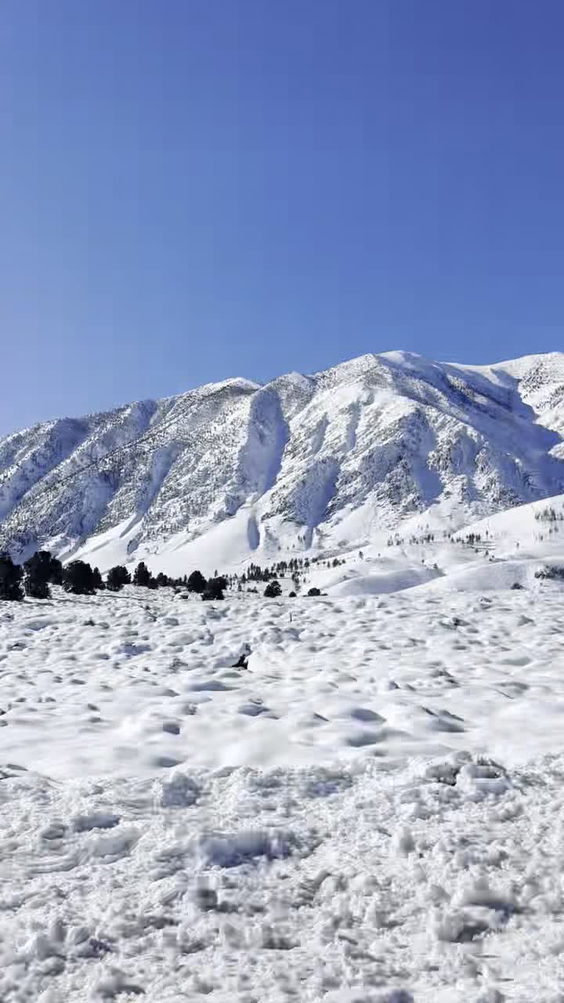 Mammoth Mountain Ski Area