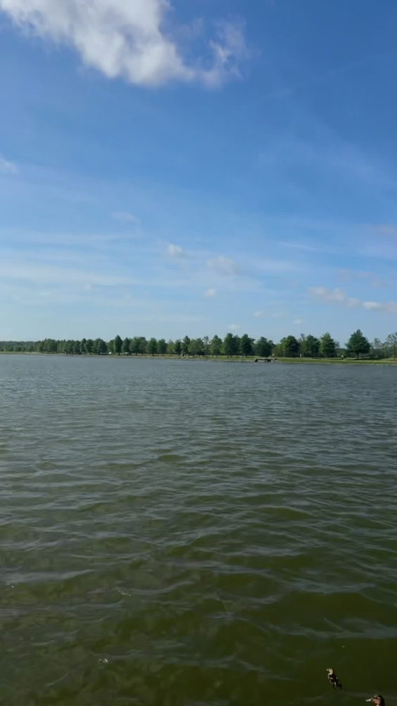 Shelby Farms Visitors Center