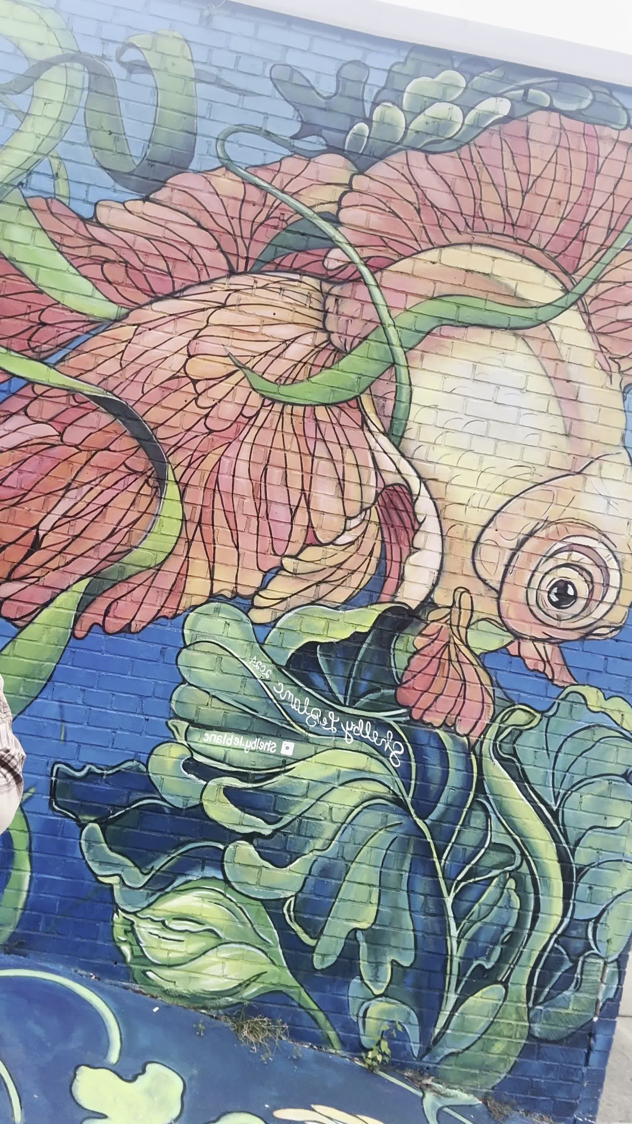 University of South Carolina