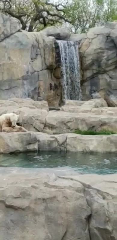 Brookfield Zoo