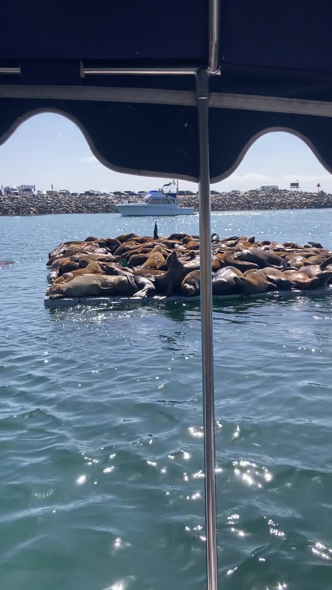 Oceanside Boat Rental