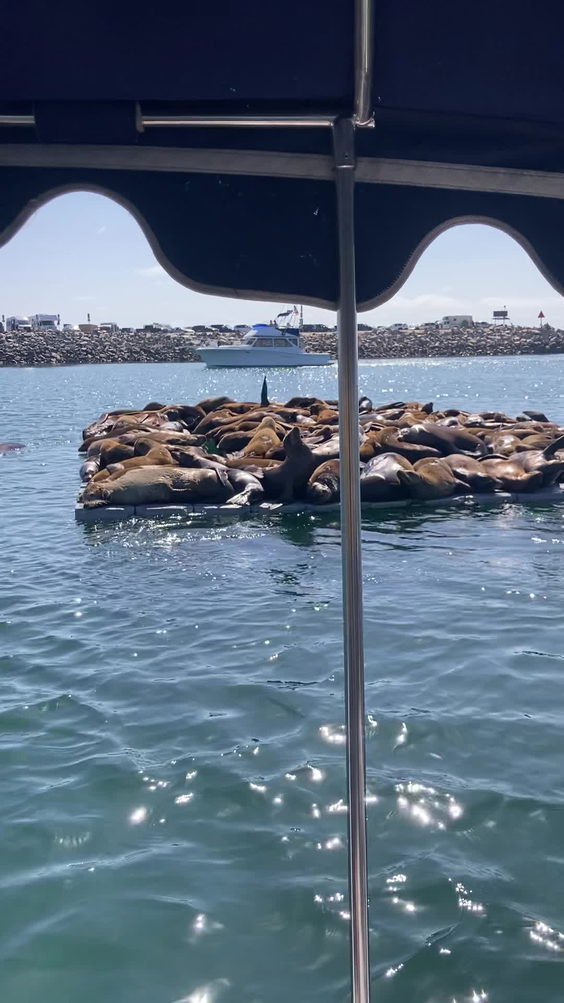 Oceanside Boat Rental