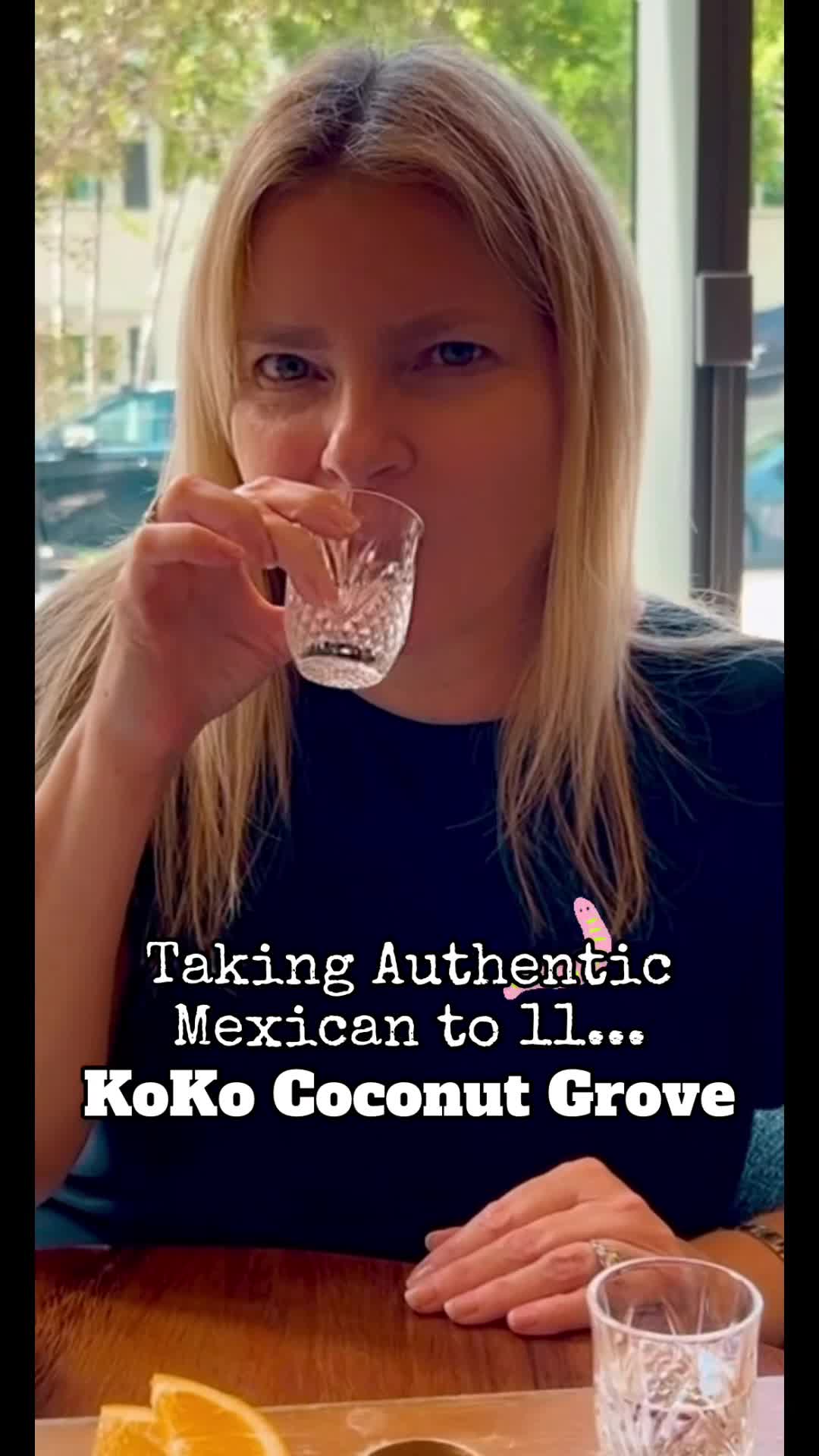 Video review of Koko