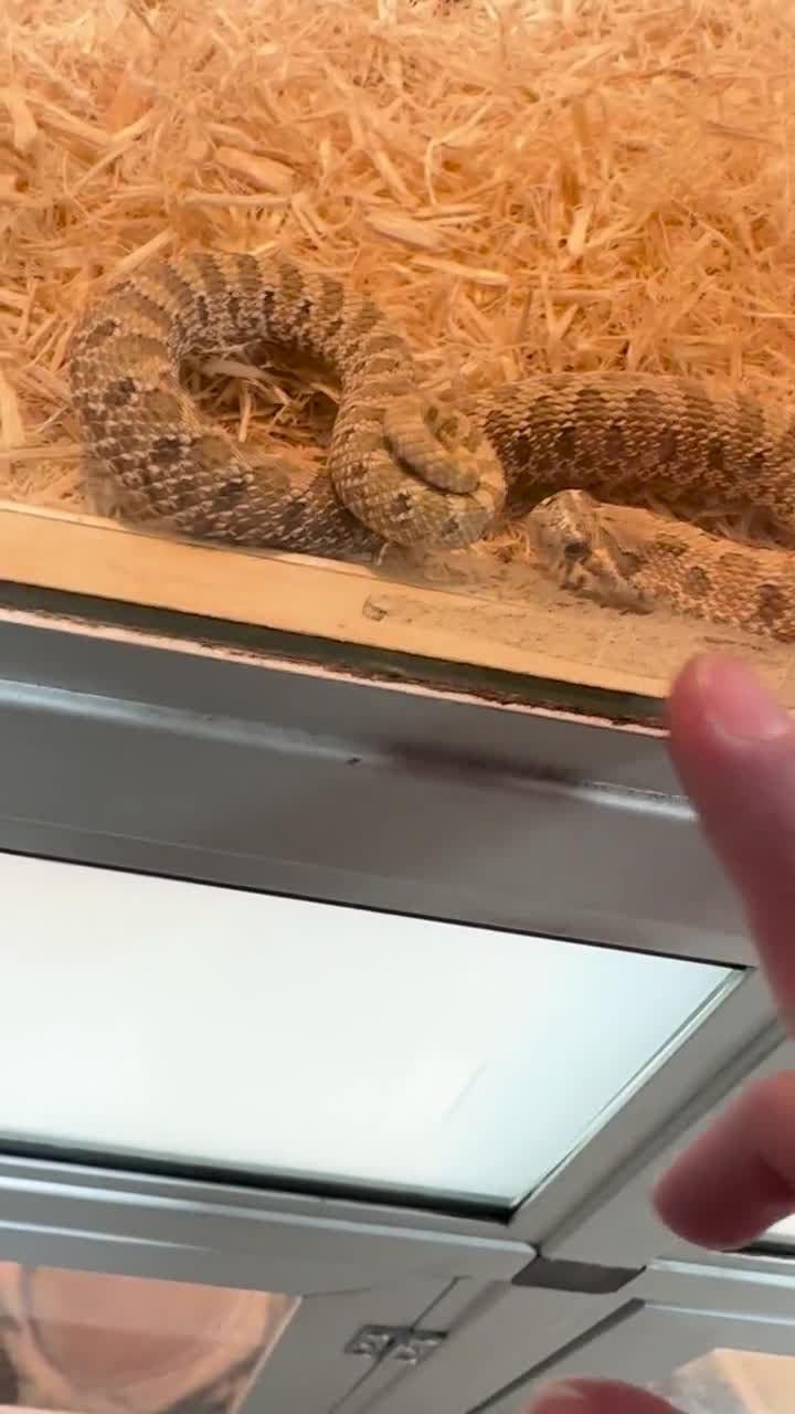 City Moment · Clemmons