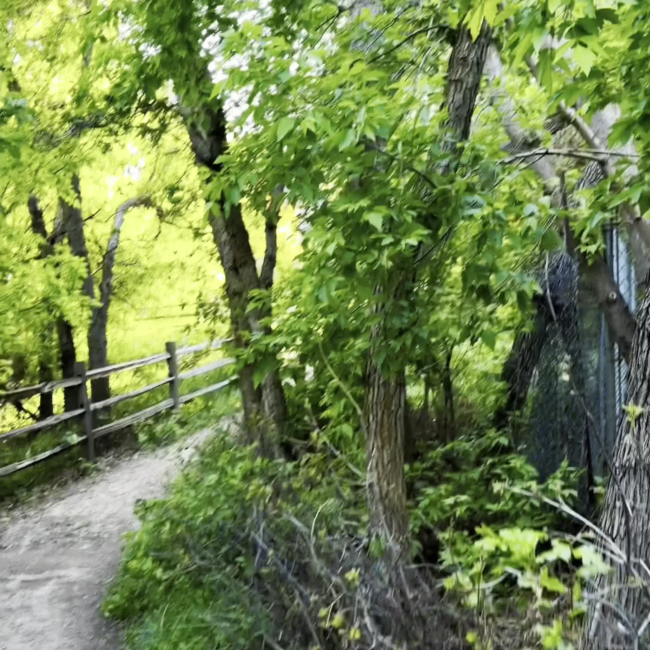 Wastach Hollow Trails