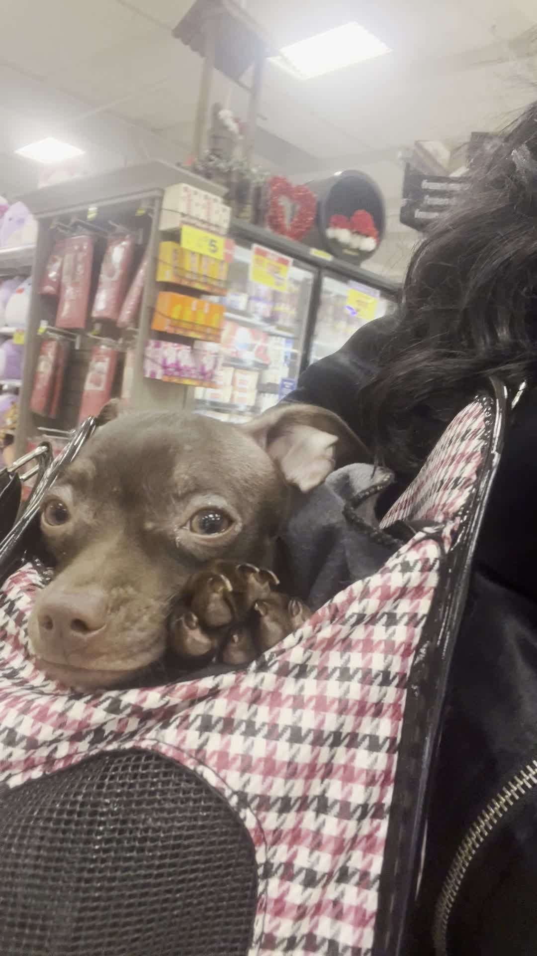 Video review of Ralphs