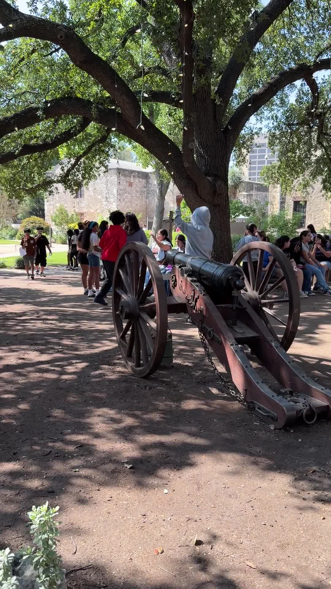 The Alamo