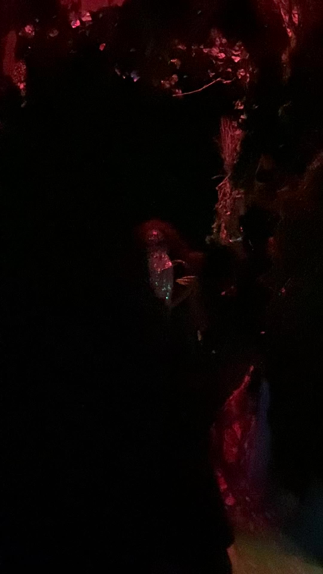 House of Eternal Return, Meow Wolf