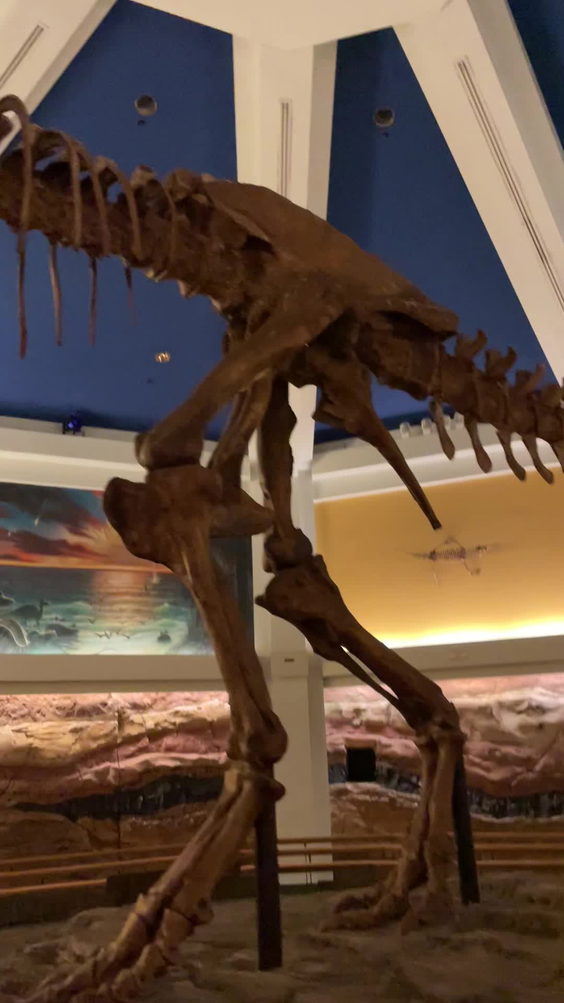 Dinosaur