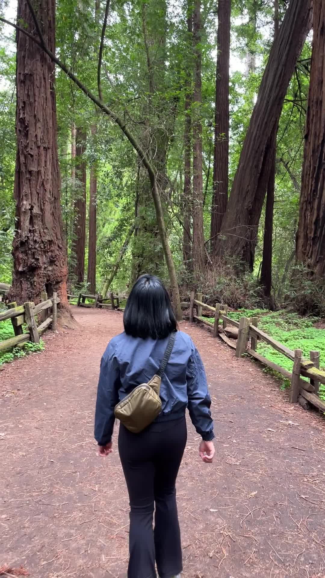 Roaring Camp Railroads