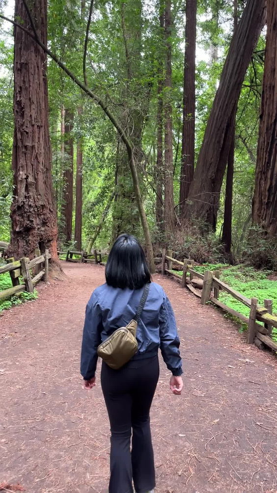 Roaring Camp Railroads