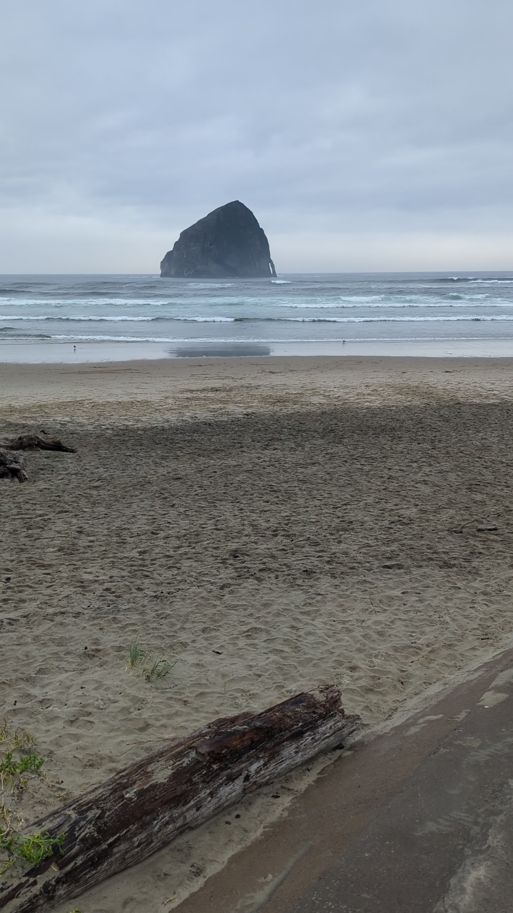 Video review of Cape Kiwanda State Natural Area