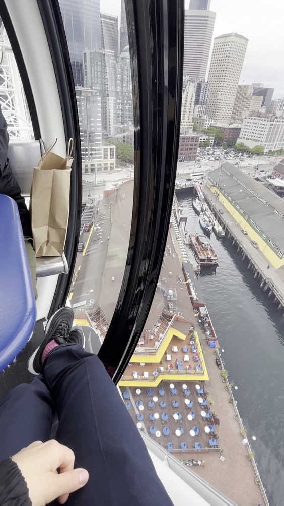 The Seattle Great Wheel