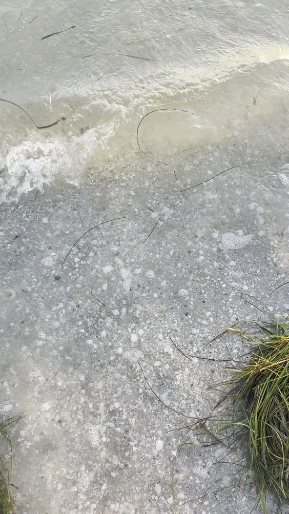 Gulf Of Mexico Ancolte Key
